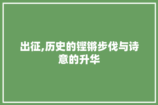出征,历史的铿锵步伐与诗意的升华