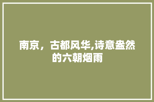 南京，古都风华,诗意盎然的六朝烟雨