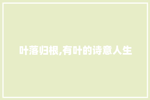 叶落归根,有叶的诗意人生