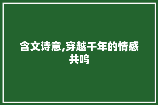 含文诗意,穿越千年的情感共鸣