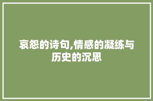 哀怨的诗句,情感的凝练与历史的沉思