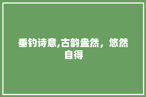 垂钓诗意,古韵盎然，悠然自得