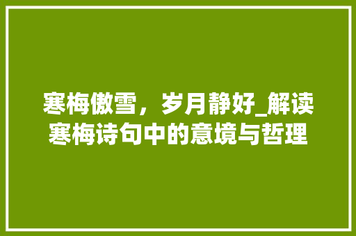 寒梅傲雪，岁月静好_解读寒梅诗句中的意境与哲理 优秀范文