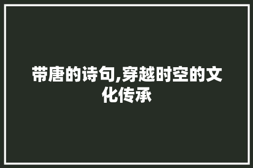 带唐的诗句,穿越时空的文化传承