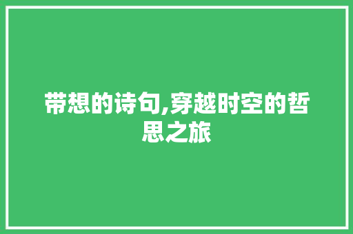 带想的诗句,穿越时空的哲思之旅