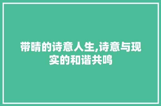 带晴的诗意人生,诗意与现实的和谐共鸣