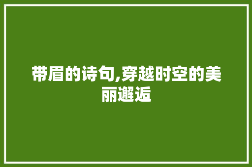 带眉的诗句,穿越时空的美丽邂逅