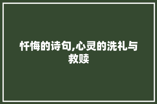 忏悔的诗句,心灵的洗礼与救赎