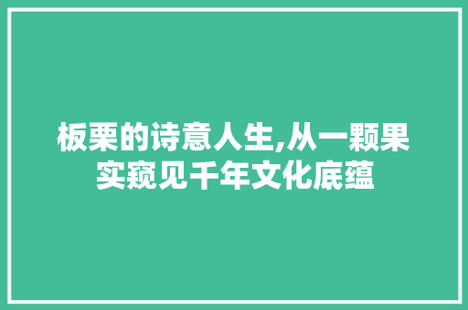 板栗的诗意人生,从一颗果实窥见千年文化底蕴