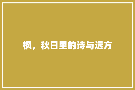 枫，秋日里的诗与远方