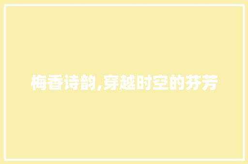 梅香诗韵,穿越时空的芬芳