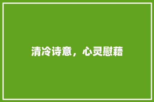 清冷诗意，心灵慰藉