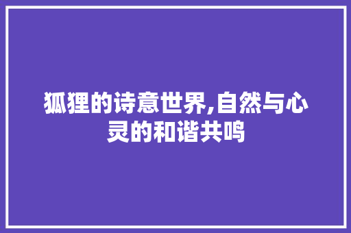 狐狸的诗意世界,自然与心灵的和谐共鸣