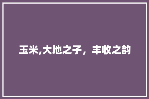 玉米,大地之子，丰收之韵