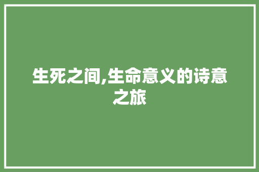 生死之间,生命意义的诗意之旅