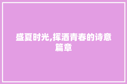 盛夏时光,挥洒青春的诗意篇章