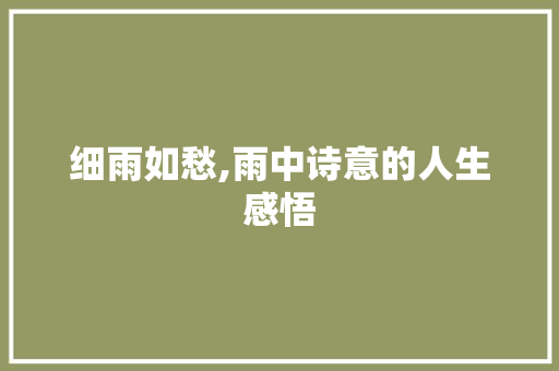 细雨如愁,雨中诗意的人生感悟