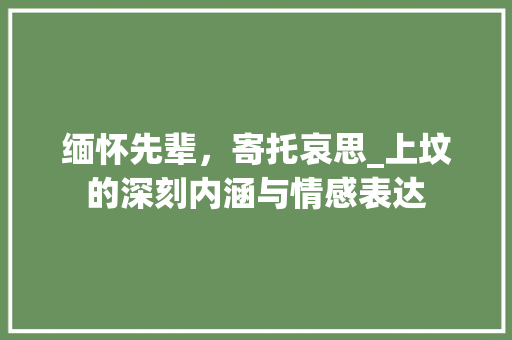 缅怀先辈，寄托哀思_上坟的深刻内涵与情感表达