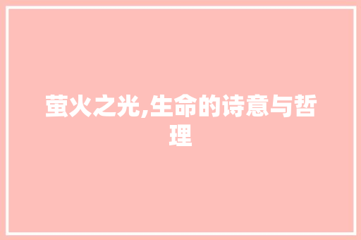 萤火之光,生命的诗意与哲理
