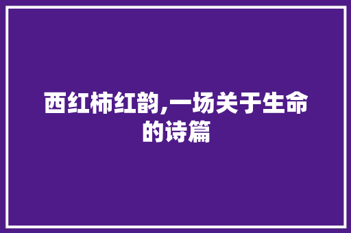 西红柿红韵,一场关于生命的诗篇