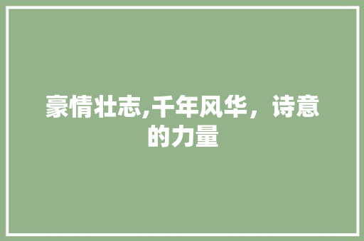 豪情壮志,千年风华，诗意的力量