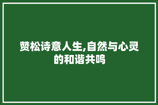 赞松诗意人生,自然与心灵的和谐共鸣