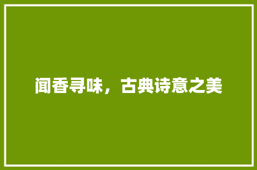 闻香寻味，古典诗意之美