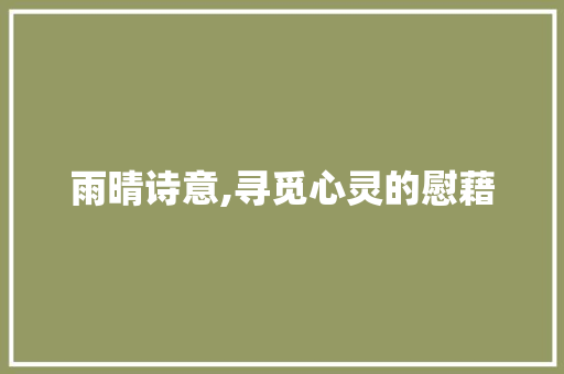 雨晴诗意,寻觅心灵的慰藉