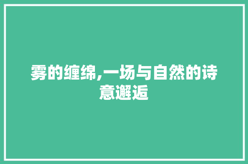 雾的缠绵,一场与自然的诗意邂逅