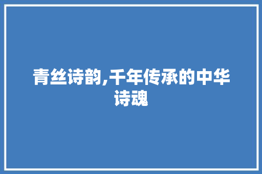 青丝诗韵,千年传承的中华诗魂