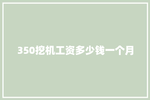 350挖机工资多少钱一个月