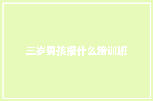 三岁男孩报什么培训班