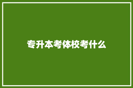 专升本考体校考什么