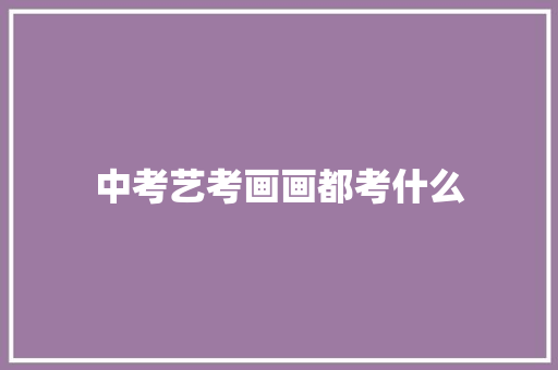 中考艺考画画都考什么