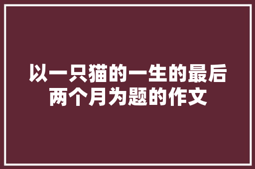 2025广东的大学排名公办