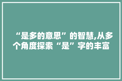 “是多的意思”的智慧,从多个角度探索“是”字的丰富内涵