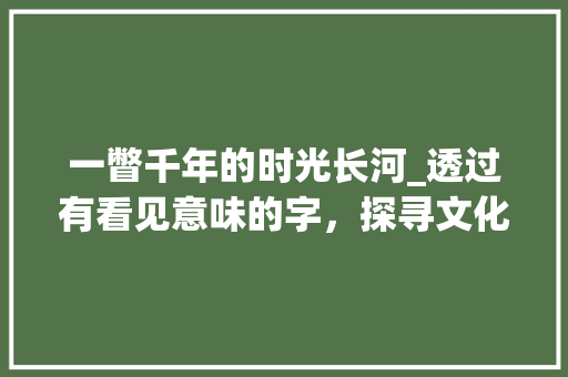 一瞥千年的时光长河_透过有看见意味的字，探寻文化传承之美