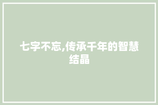 七字不忘,传承千年的智慧结晶