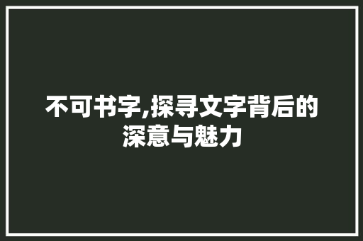 不可书字,探寻文字背后的深意与魅力