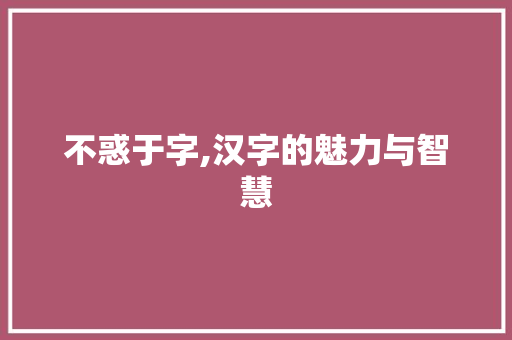 不惑于字,汉字的魅力与智慧