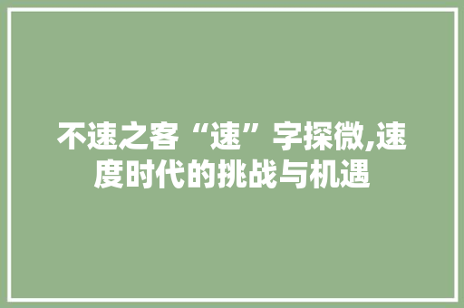 不速之客“速”字探微,速度时代的挑战与机遇