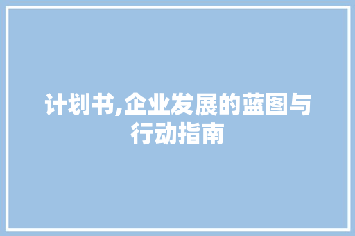 计划书,企业发展的蓝图与行动指南