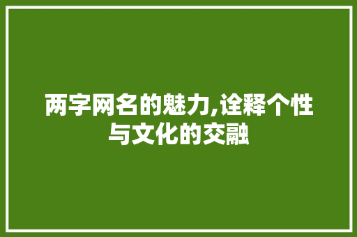 两字网名的魅力,诠释个性与文化的交融