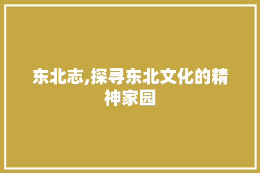 东北志,探寻东北文化的精神家园