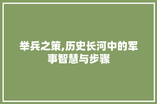 举兵之策,历史长河中的军事智慧与步骤