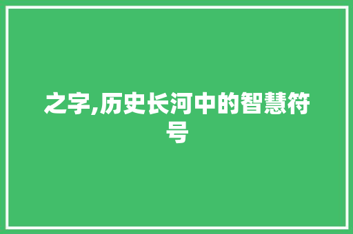 之字,历史长河中的智慧符号