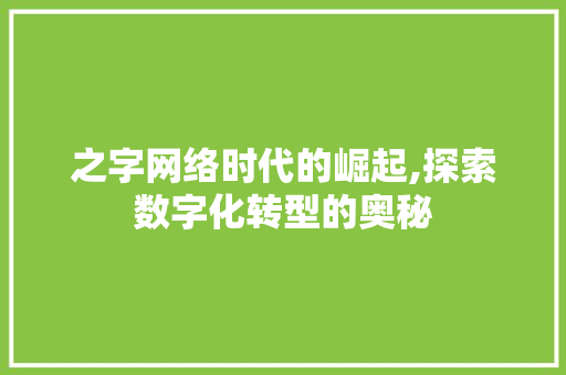 之字网络时代的崛起,探索数字化转型的奥秘