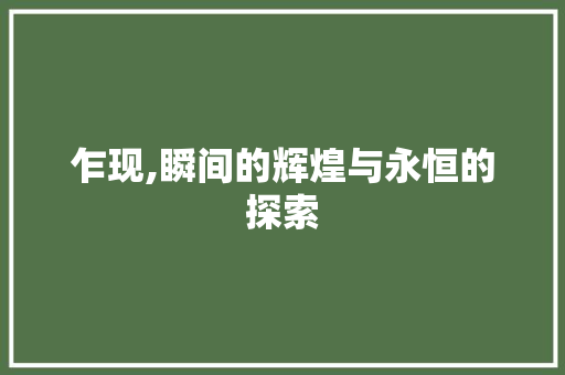 乍现,瞬间的辉煌与永恒的探索