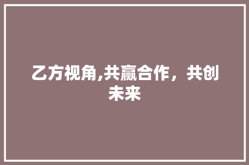 乙方视角,共赢合作，共创未来