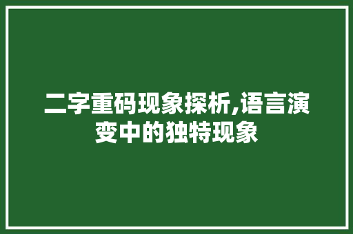 二字重码现象探析,语言演变中的独特现象